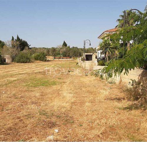 immagine annuncio 3 di 6