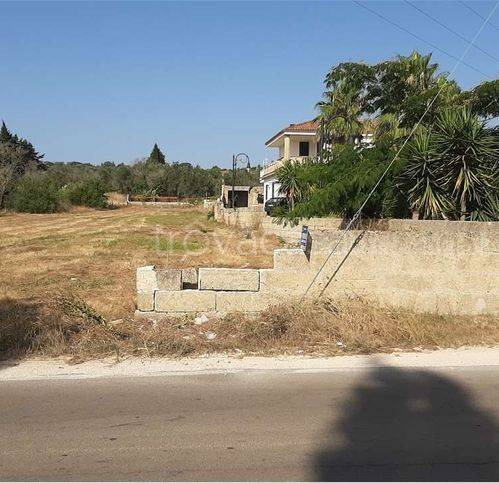 immagine annuncio 4 di 6