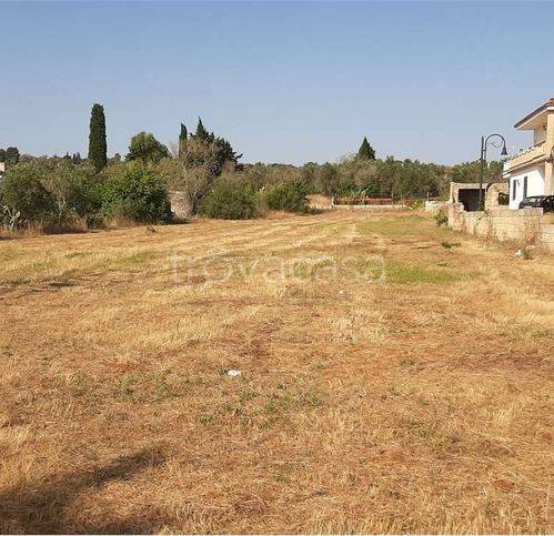 immagine annuncio 5 di 6