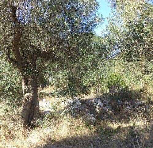 immagine annuncio 2 di 8