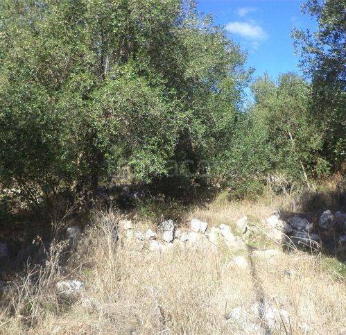 immagine annuncio 3 di 8