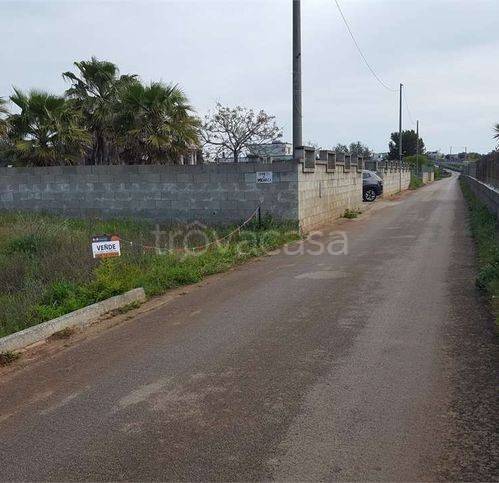 immagine annuncio 2 di 9