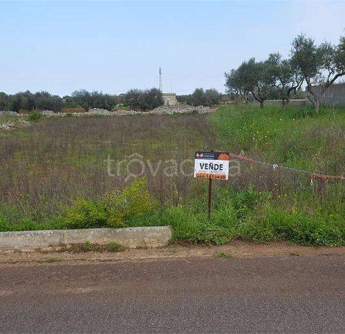 immagine annuncio 4 di 9