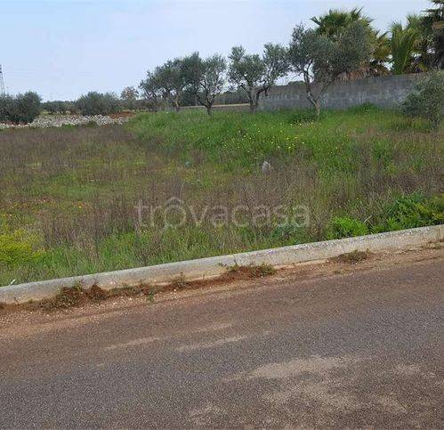 immagine annuncio 5 di 9