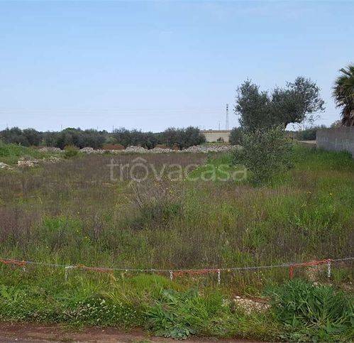 immagine annuncio 6 di 9