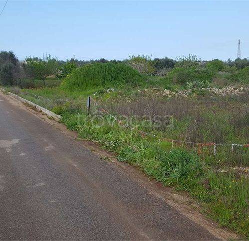 immagine annuncio 7 di 9