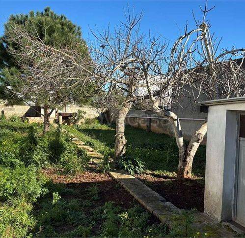 immagine annuncio 4 di 6