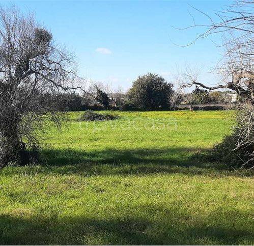 immagine annuncio 1 di 7