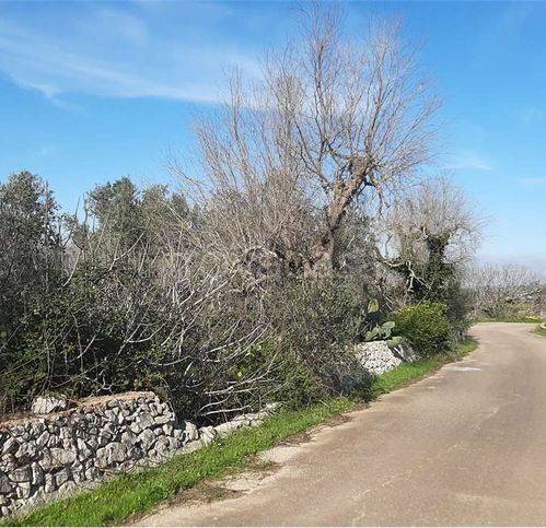 immagine annuncio 2 di 7