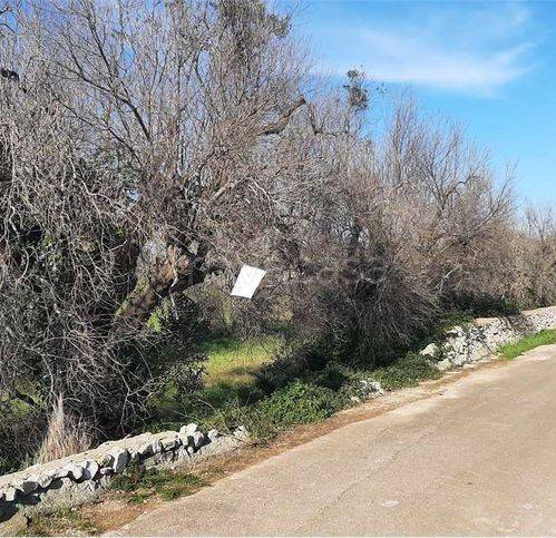 immagine annuncio 6 di 7