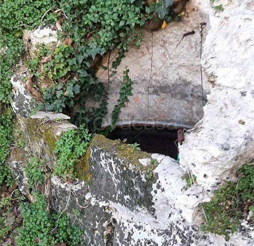 immagine annuncio 1 di 6