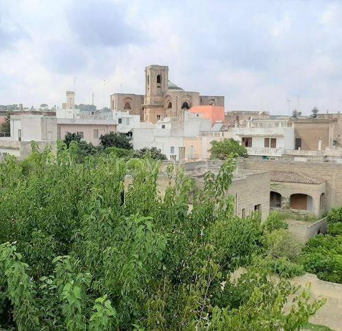 immagine annuncio 1 di 7