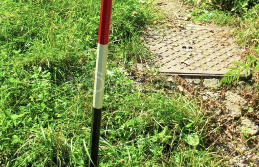 immagine annuncio 10 di 12