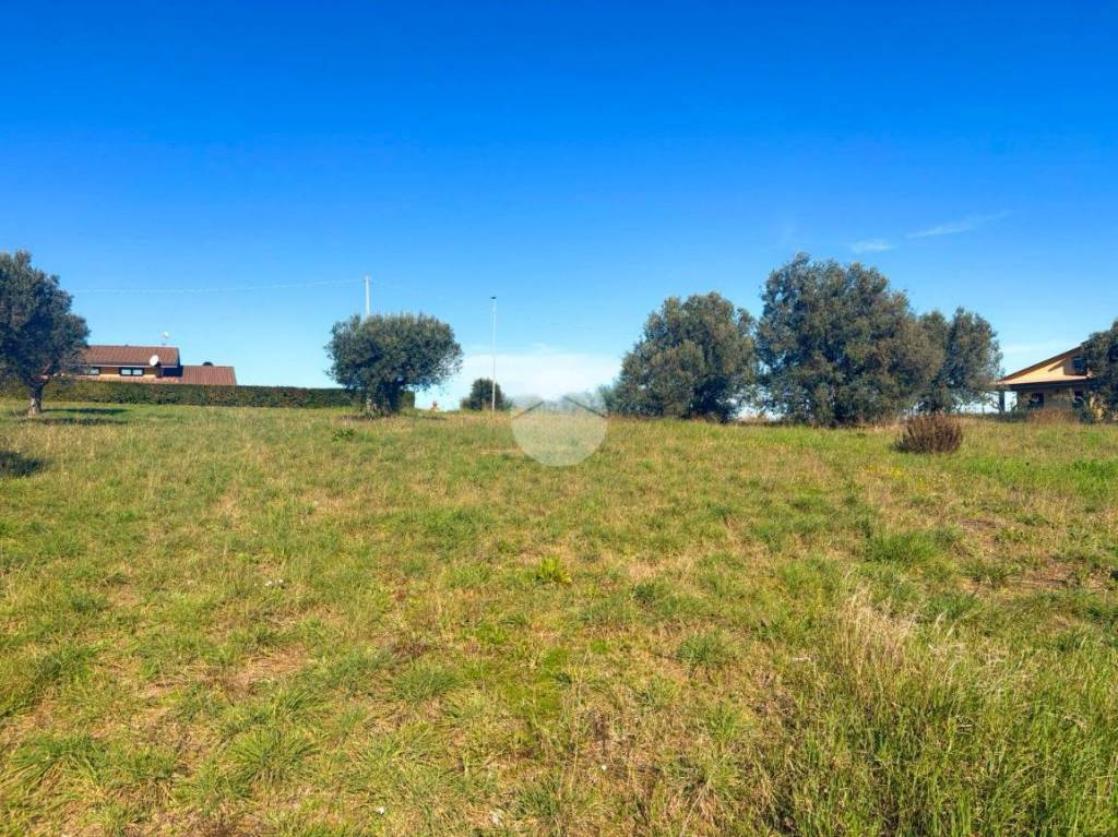 immagine annuncio 1 di 11