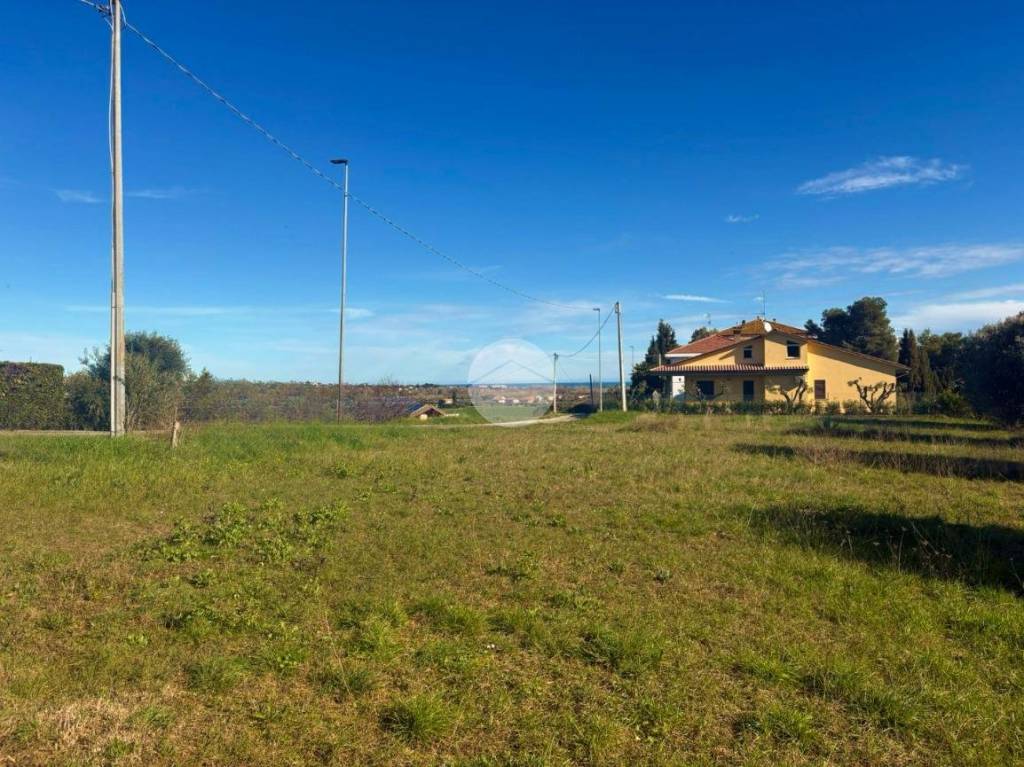 immagine annuncio 2 di 11