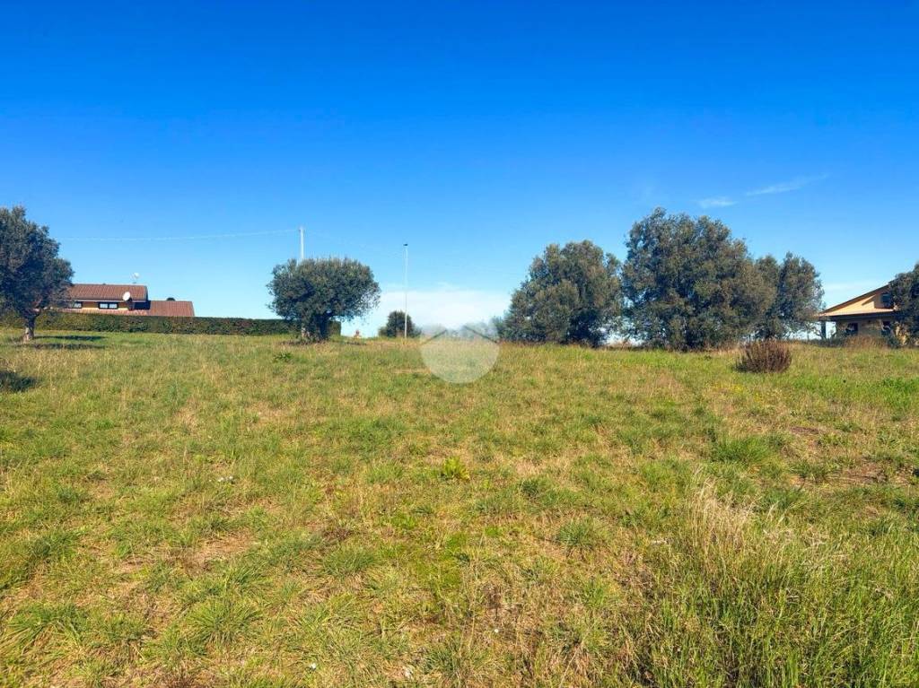 immagine annuncio 5 di 11