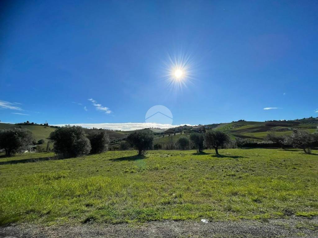 immagine annuncio 8 di 11