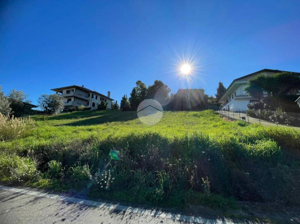 immagine annuncio 4 di 11