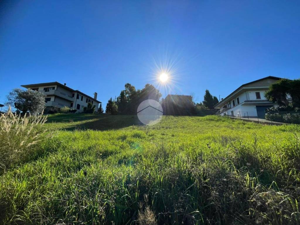 immagine annuncio 7 di 11