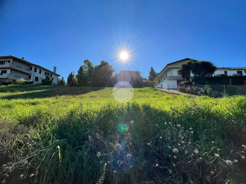 immagine annuncio 8 di 11