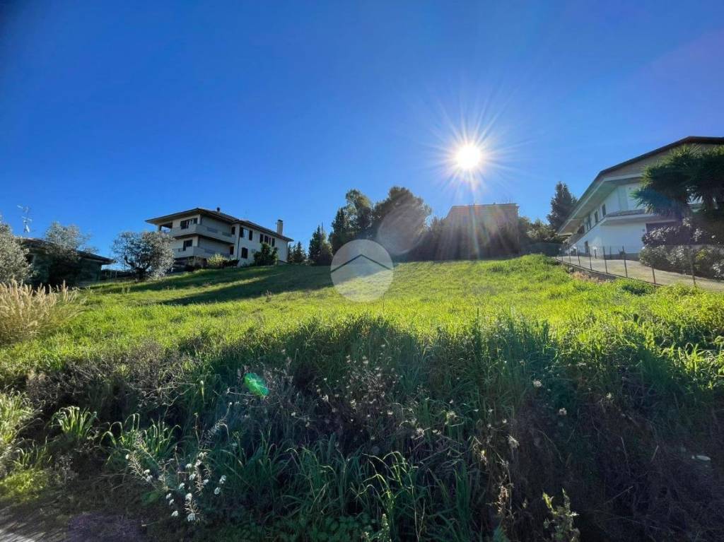 immagine annuncio 9 di 11