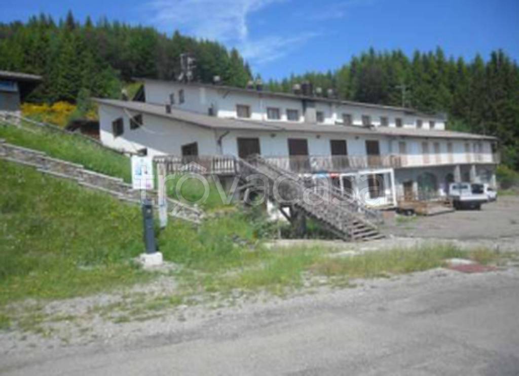 immagine annuncio 5 di 12