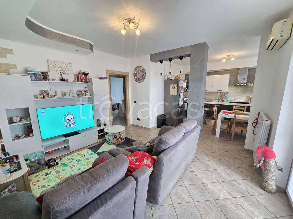 immagine annuncio 12 di 15