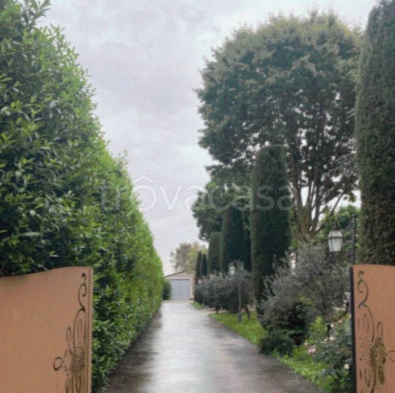 immagine annuncio 4 di 8