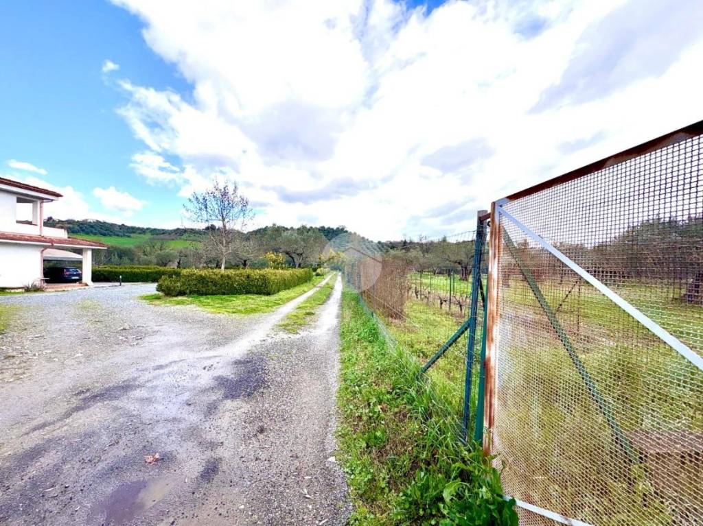 immagine annuncio 2 di 11