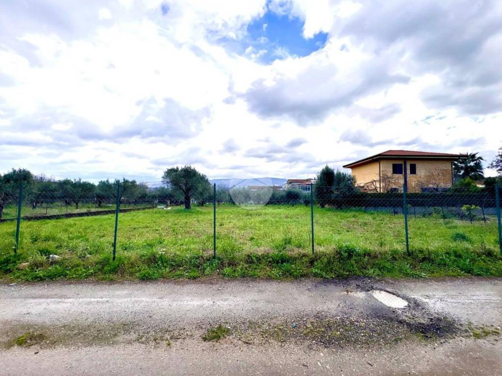 immagine annuncio 4 di 11