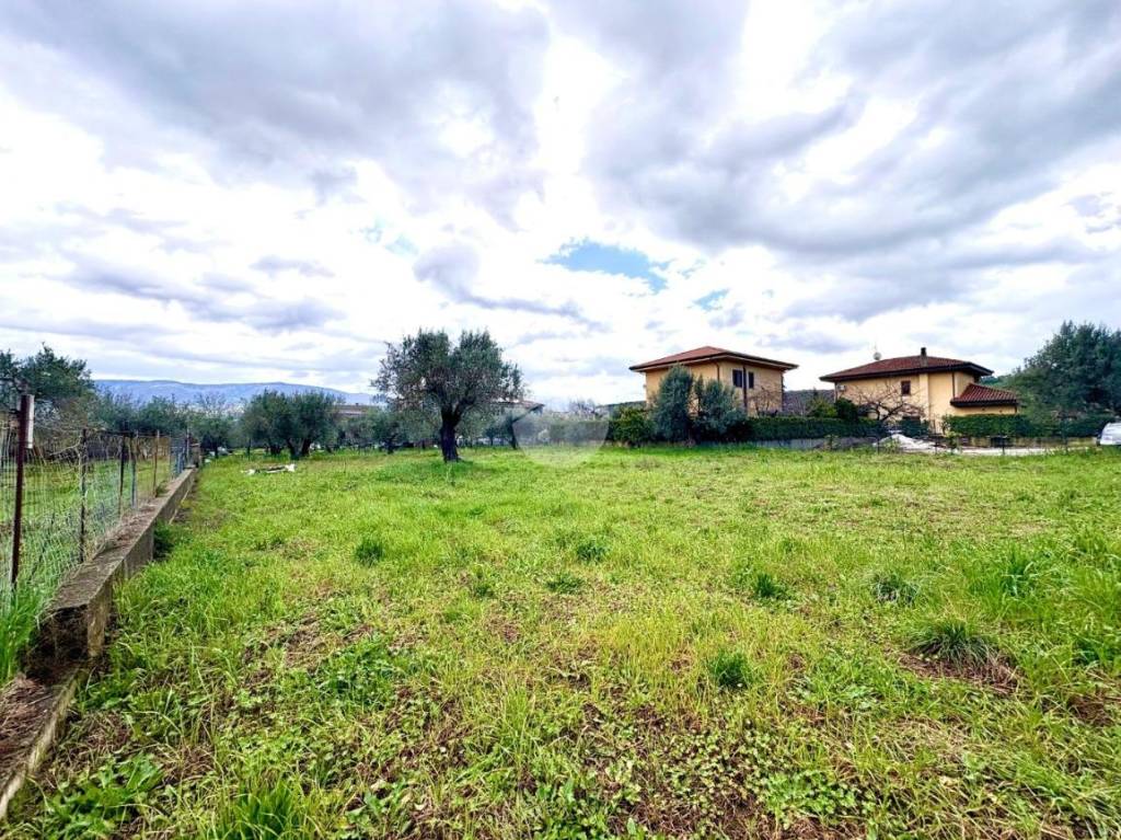 immagine annuncio 5 di 11