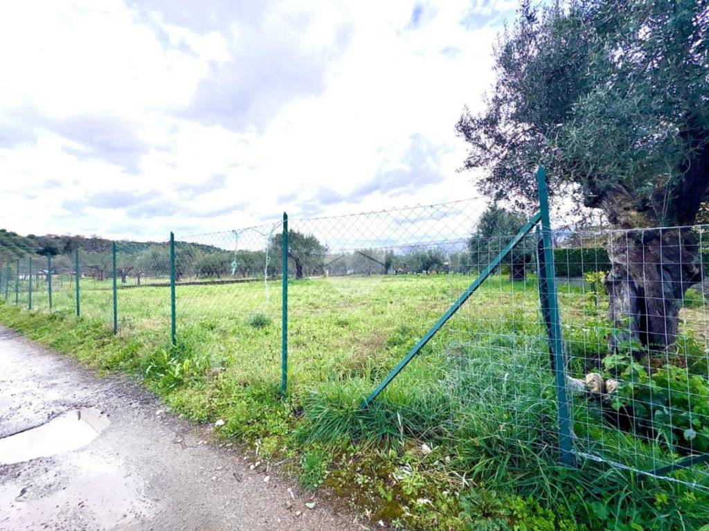 immagine annuncio 8 di 11