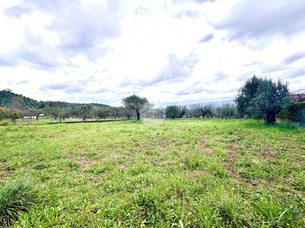 immagine annuncio 9 di 11