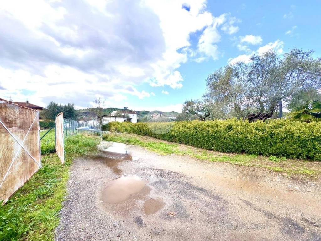 immagine annuncio 10 di 11