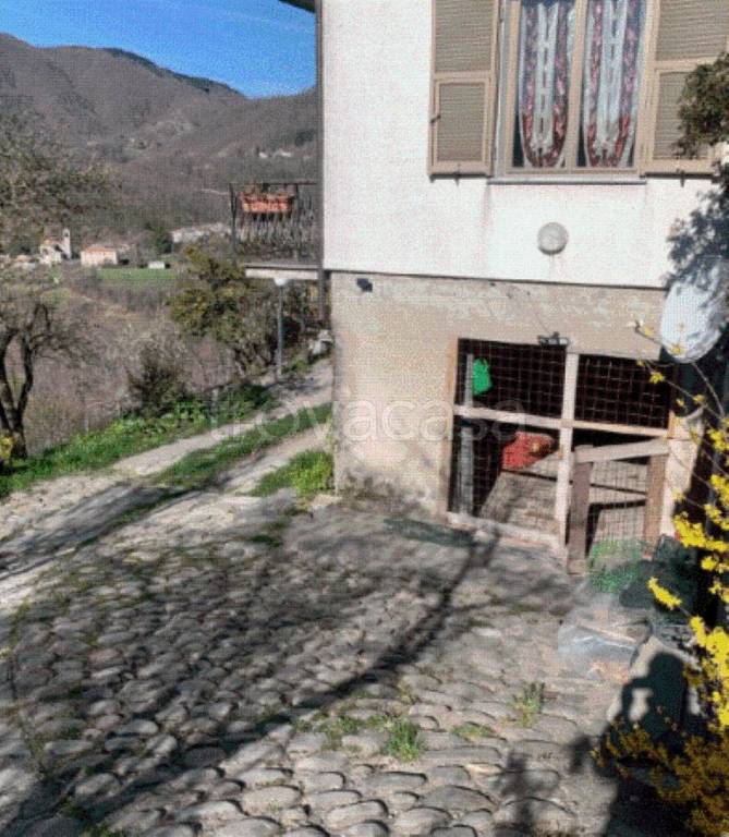 immagine annuncio 6 di 9