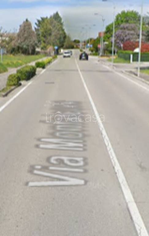 immagine annuncio 3 di 11