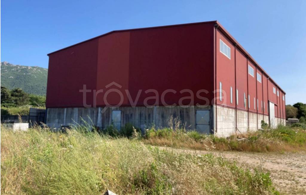 immagine annuncio 7 di 9