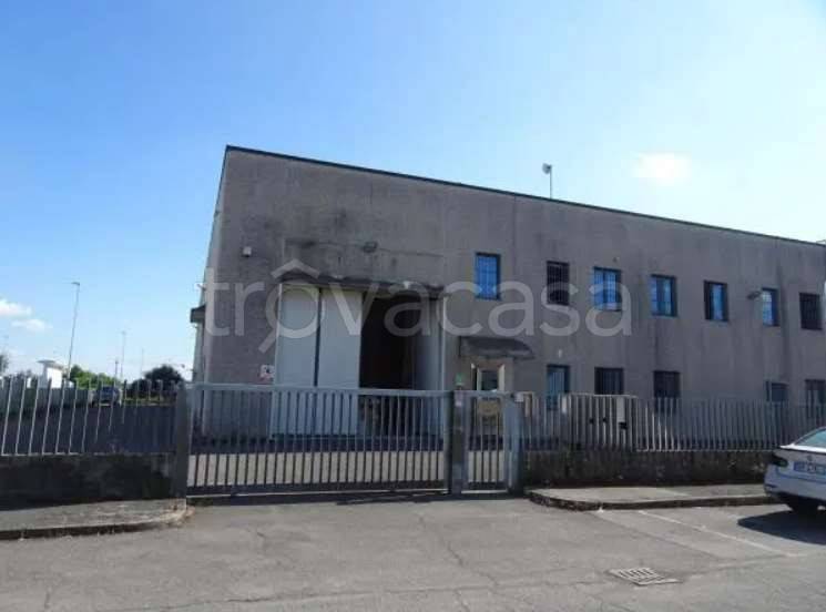 immagine annuncio 1 di 12