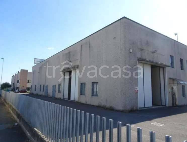 immagine annuncio 2 di 12