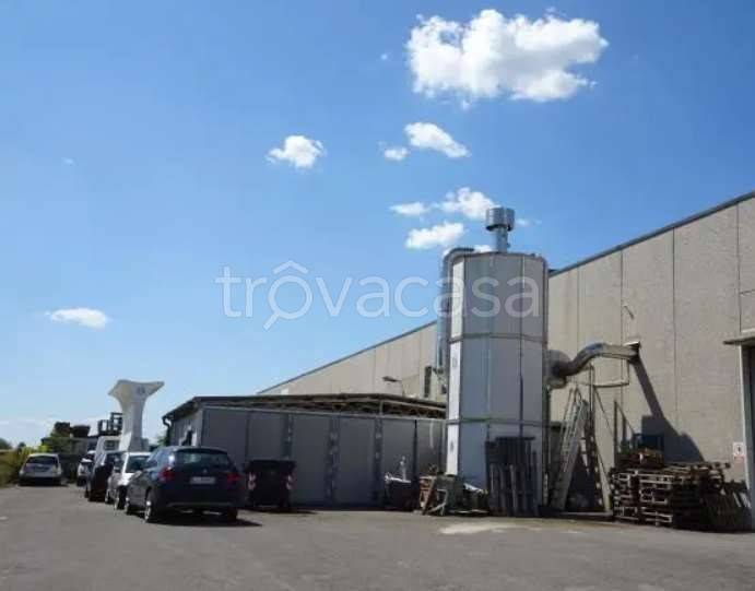 immagine annuncio 4 di 12