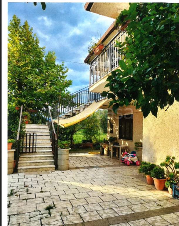 immagine annuncio 6 di 12