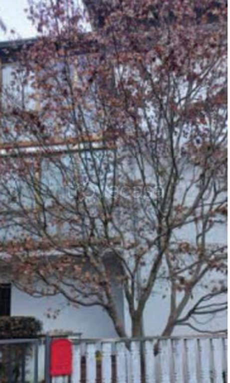 immagine annuncio 8 di 11