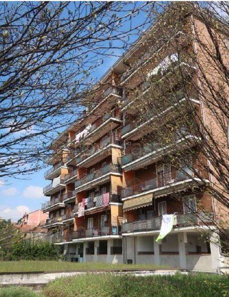 immagine annuncio 1 di 13