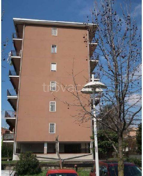 immagine annuncio 2 di 13