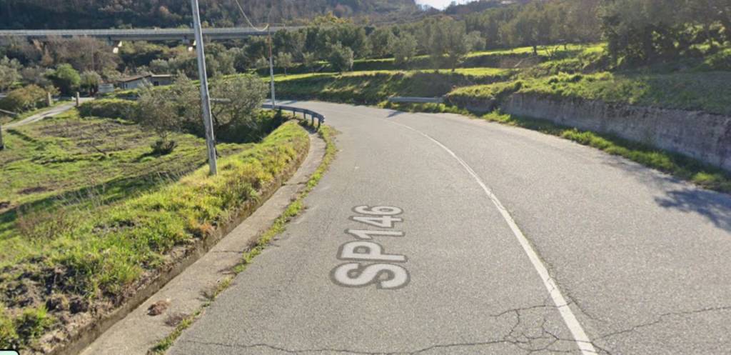 immagine annuncio 12 di 14