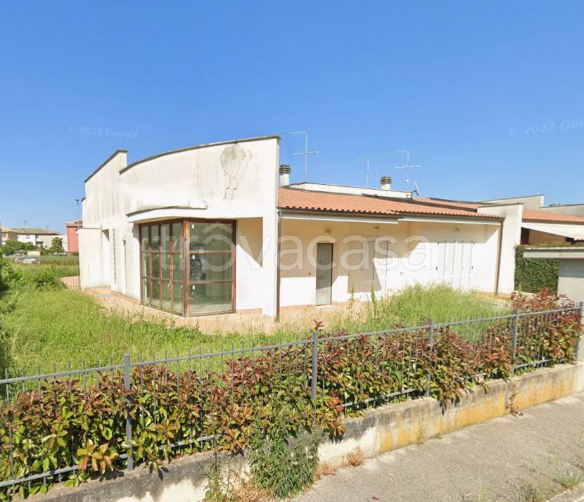 immagine annuncio 2 di 12