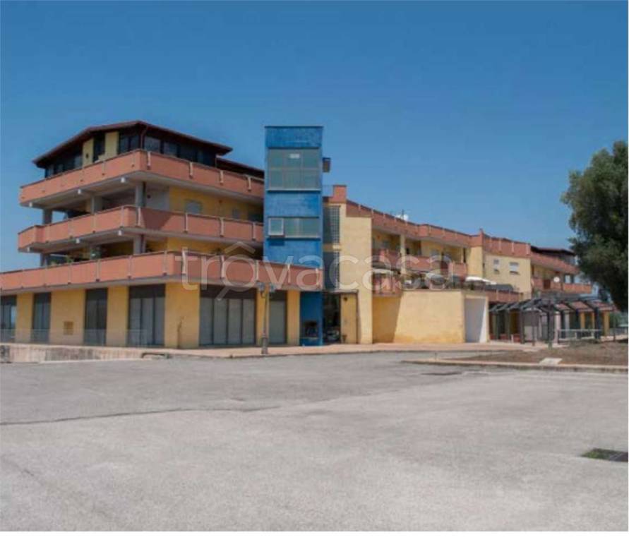 immagine annuncio 1 di 8