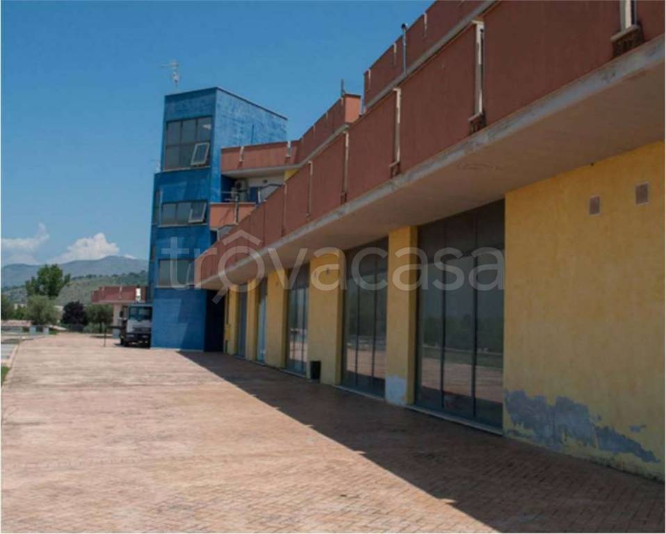 immagine annuncio 3 di 8