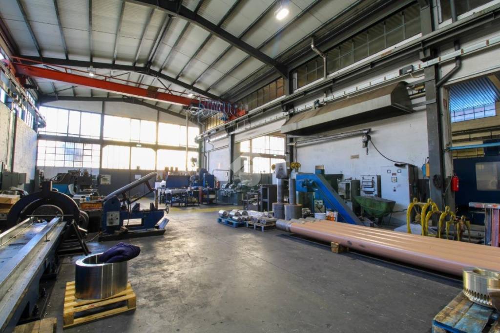 immagine annuncio 9 di 15