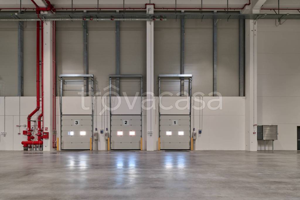 immagine annuncio 3 di 7